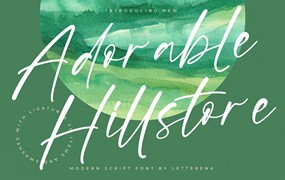 优雅品牌海报徽标设计手写英文字体安装包 Adorable Hillstore Modern Script Font