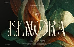 英文字体：优雅美学杂志海报徽标婚礼设计衬线英文字体安装包 Elnora