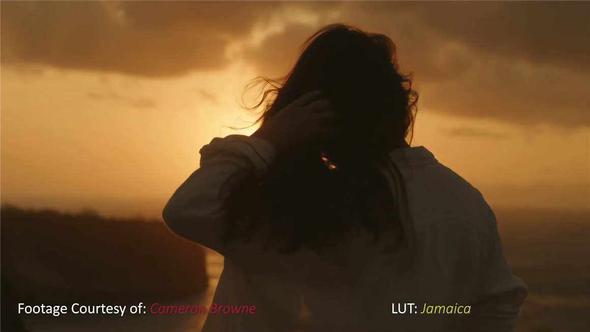 Phantom LUTs 松下S1h/5转阿莱色彩LUTs预设 Phantom LUTs for Panasonic S1h/5 . 第8张