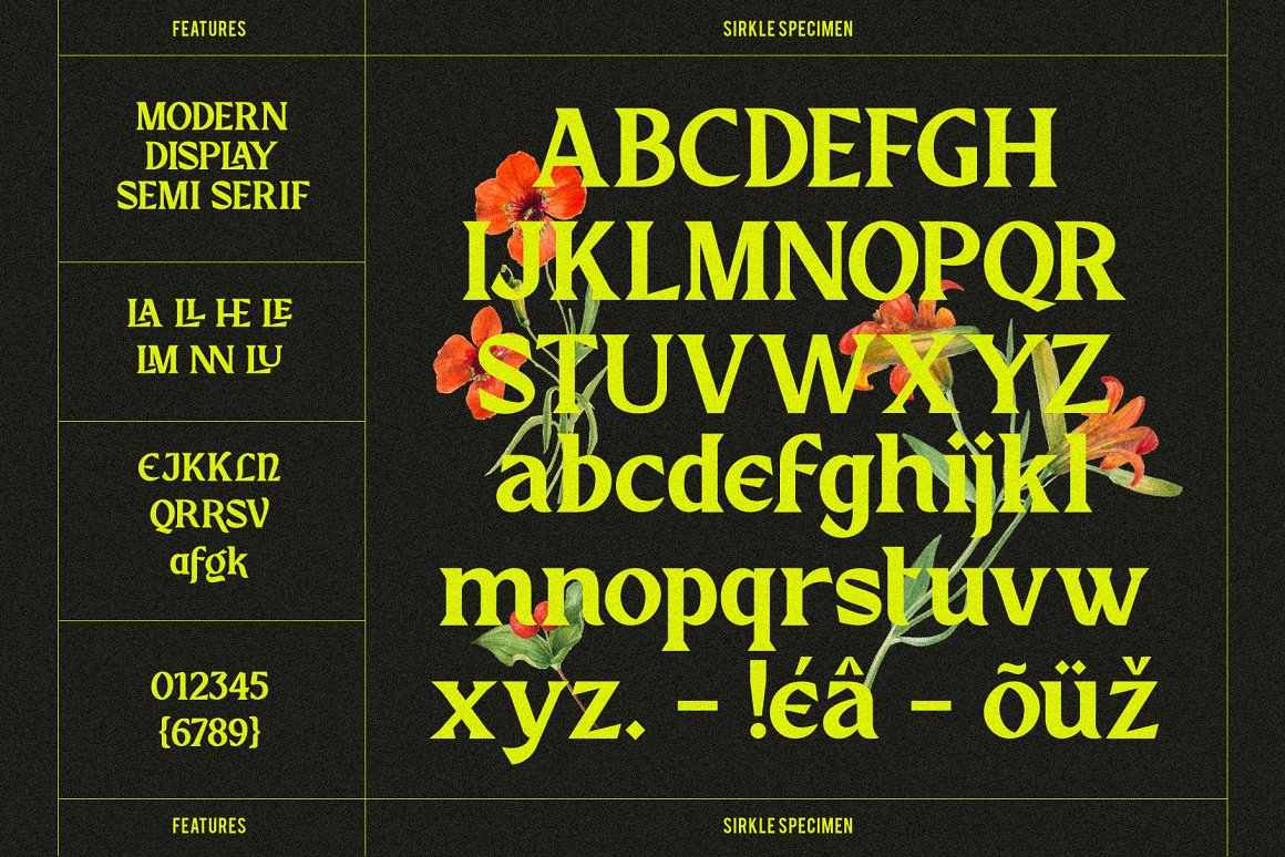 优雅复古海报包装标识设计衬线英文字体 Sirkle – Semi Serif Display 设计素材 第9张