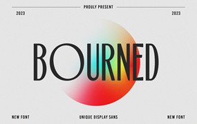 现代品牌海报徽标设计无衬线英文字体安装包 Bourned – Unique Display Sans