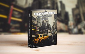 现代极简美学街头电影摄影照片调色Lightroom预设包 Urban Matte Black Lightroom Presets