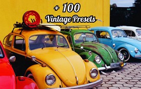 100+ Vintage Lightroom Presets Bundle