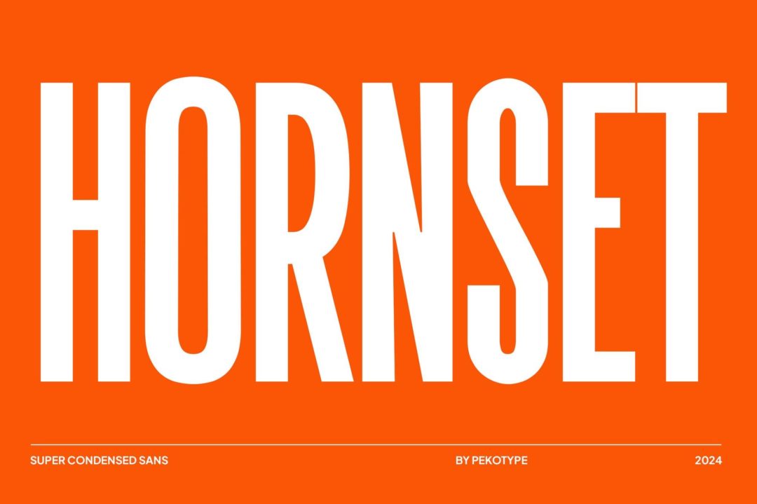 现代极简品牌海报商标设计无衬线英文字体安装包 Hornset – Condensed Sans Serif , 第1张