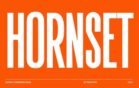 现代极简品牌海报商标设计无衬线英文字体安装包 Hornset – Condensed Sans Serif