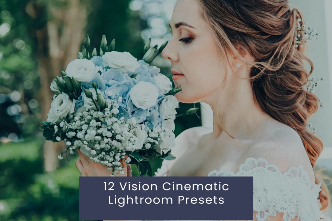 12组复古怀旧电影婚礼博主摄影照片调色Lightroom预设 12 Vision Cinematic Lightroom Presets , 第1张