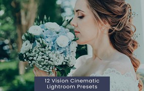 12组复古怀旧电影婚礼博主摄影照片调色Lightroom预设 12 Vision Cinematic Lightroom Presets