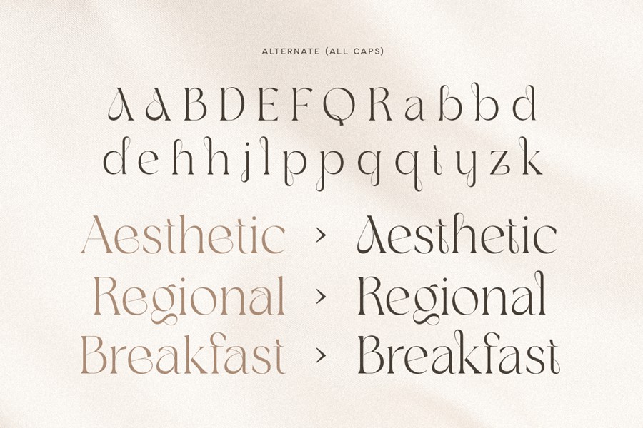 优雅奢华品牌包装徽标设计衬线英文字体安装包 Agare – Branding Luxury Font , 第9张