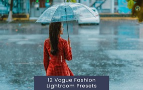 12组时尚复古电影博主婚礼照片调色Lightroom预设 12 Vogue Fashion Lightroom Presets