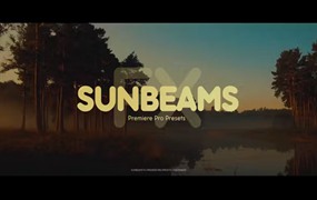 PR预设：模拟温暖阳光照射氛围丁达尔光束效果包 Sunbeams FX