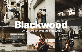 20组黑暗都市景观摄影照片调色Lightroom&LUTs预设 20 Blackwood Lightroom Presets and LUTs