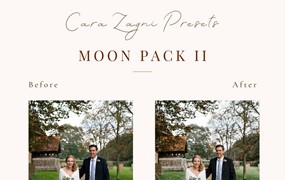 婚礼摄影大师清新跟拍调色预设 Cara Zagni Presets – Moon Pack II