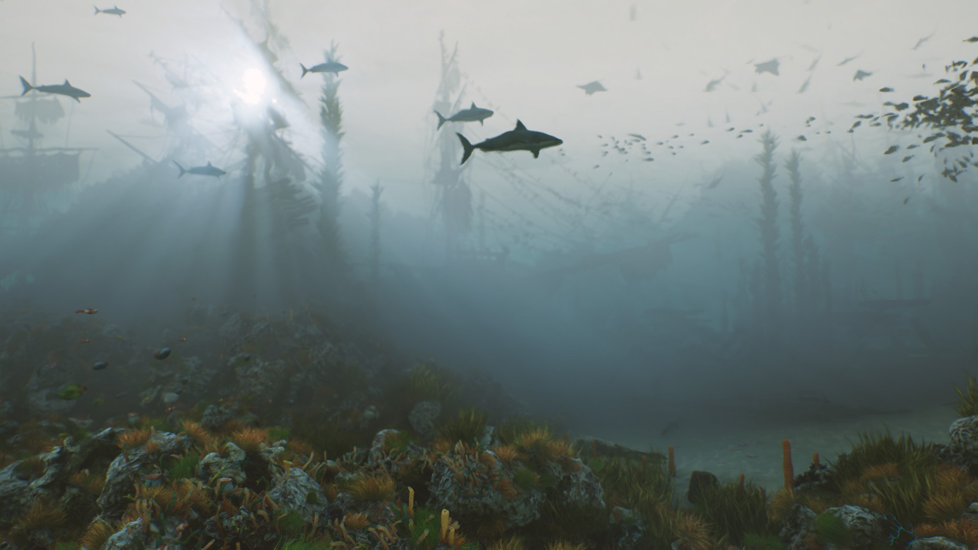 海底植物石头鱼类潜水员沉船场景3D模型UE设计素材 Bay Submerged Ships , 第20张