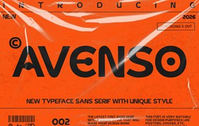 现代优雅品牌海报包装徽标设计无衬线英文字体安装包 Avenso – New Sans Serif Typeface with Unique Style