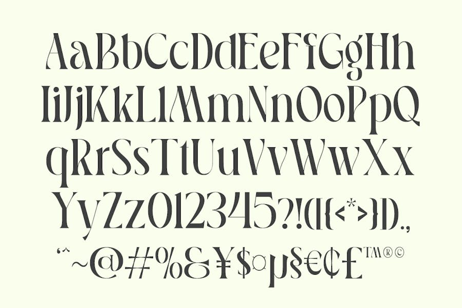 优雅复古品牌海报婚礼徽标设计衬线英文字体安装包 Pavon – Modern Luxury Font , 第14张