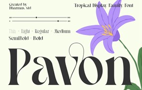 优雅复古品牌海报婚礼徽标设计衬线英文字体安装包 Pavon – Modern Luxury Font