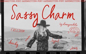 SASSY CHARM — Handwriting Font 复古时尚VLOG视频封面涂鸦书籍杂志画册海报创意设计装饰手写字体