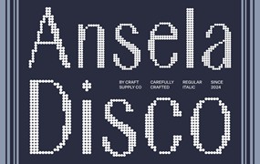 现代时尚品牌海报徽标设计无衬线英文字体安装包 Ansela Disco