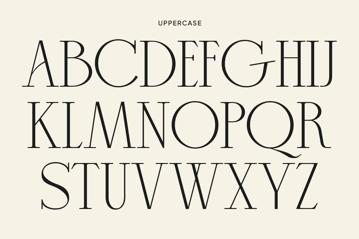 时尚优雅品牌婚礼徽标设计衬线英文字体安装包 Mikaelo – Elegant Serif Typeface , 第3张