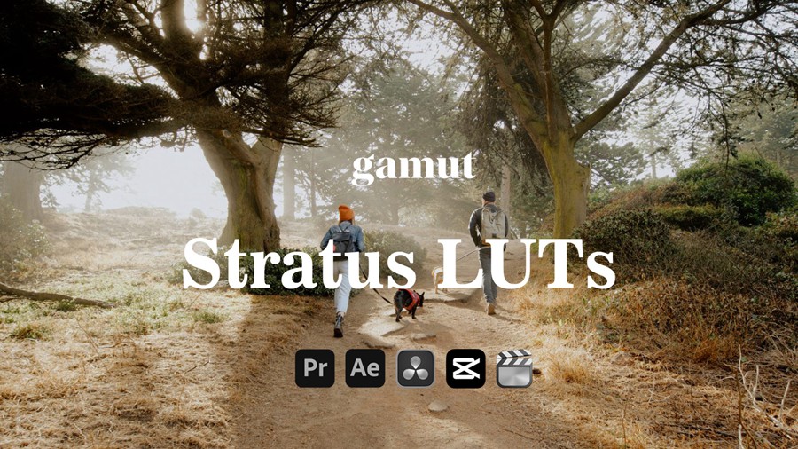 Gamut - Stratus LUTS 6个自然喜怒无常温暖婚礼人像棕褐色铜色调色LUT 插件预设 第1张