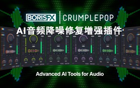 Boris FX 终极音频降噪去杂音回响修复增强PR/AU/AVID/FCPX/达芬奇插件激活版 CrumplePop Pro for Mac/Win v2024.0.12