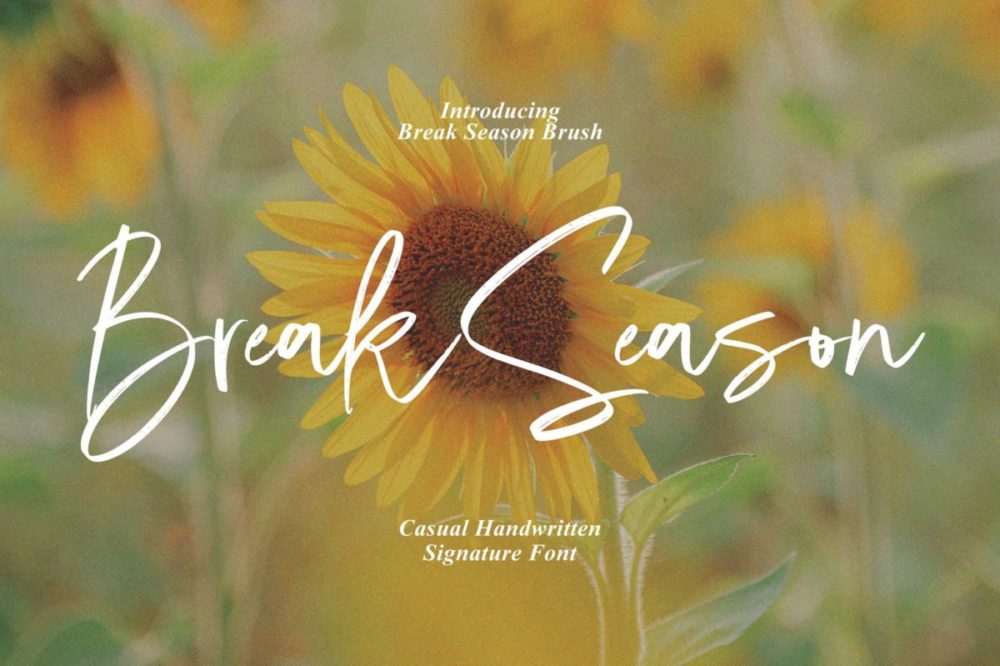 现代杂志海报徽标设计手写英文字体安装包 Break Season – Casual Signature , 第1张