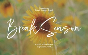 现代杂志海报徽标设计手写英文字体安装包 Break Season – Casual Signature