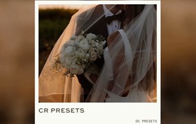 8种复古奶油色纯白色暖色黑白调婚礼人像风光人文扫街LR预设 DC PRESETS X CHELSEA REECE