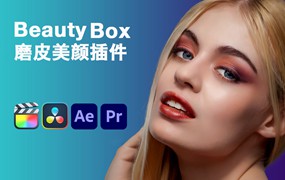 Digital Anarchy - Beauty Box 视频磨皮美颜FCPX插件/达芬奇/PR/AE插件 v5.0.10、、v5.0.10、v5.0.4