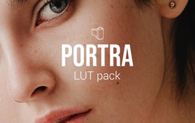 Kodak Portra LUTs 复古柔和肤色 柯达Portra 胶片模拟LUT