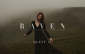 暮光之城电影感秋冬季沉思美学LR调色预设 Archipelago QUEST 41 – Raven Presets