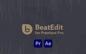 PR/AE插件：BeatEdit 音乐节奏鼓点标记插件 Aescripts BeatEdit PR/AE v2.2.001/v2.2.000 中文汉化（Win&Mac）