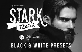 Presetrain – Stark Black Dramatic BW Lightroom Presets