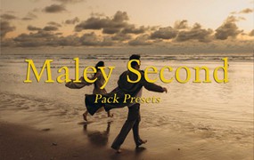 怀旧复古浪漫日落柔和色调人像摄影婚礼旅行摄影照片调色 Maley Second Pack Presets