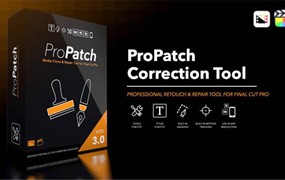 FCPX插件：ProPatch 3.0 专业级瑕疵清理擦除修补移除替换克隆工具