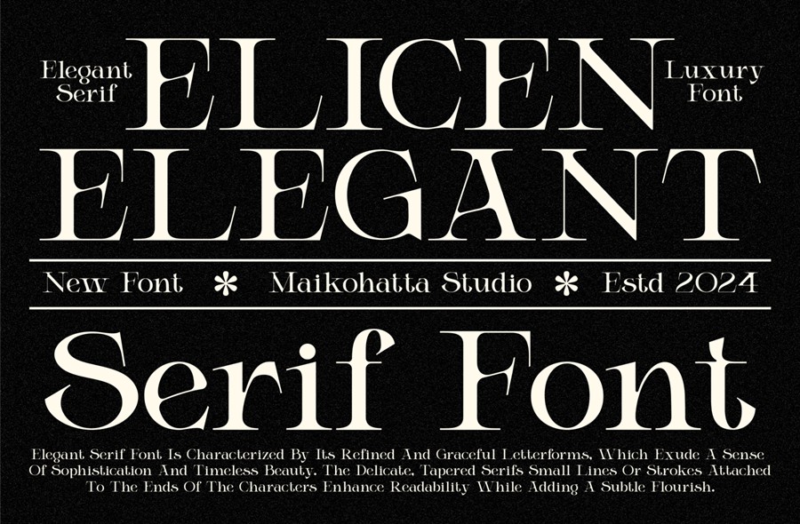 时尚优雅品牌杂志徽标设计衬线英文字体安装包 Elicen – Elegant Serif Font , 第6张