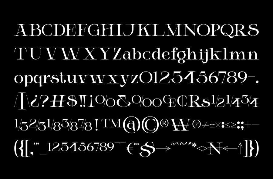 时尚优雅品牌杂志徽标设计衬线英文字体安装包 Elicen – Elegant Serif Font , 第7张