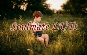 复古暖色调通透氛围感婚礼人像摄影视频LUTS调色预设 Soulmate LUTs