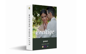 永恒奢华电影风格温暖柔和光彩婚礼视频调色LUT预设 GAMUT – Prestige