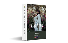 Gamut Lotus 浓郁电影蓝绿色/橙色商业级婚礼派对人像摄影LUT调色预设