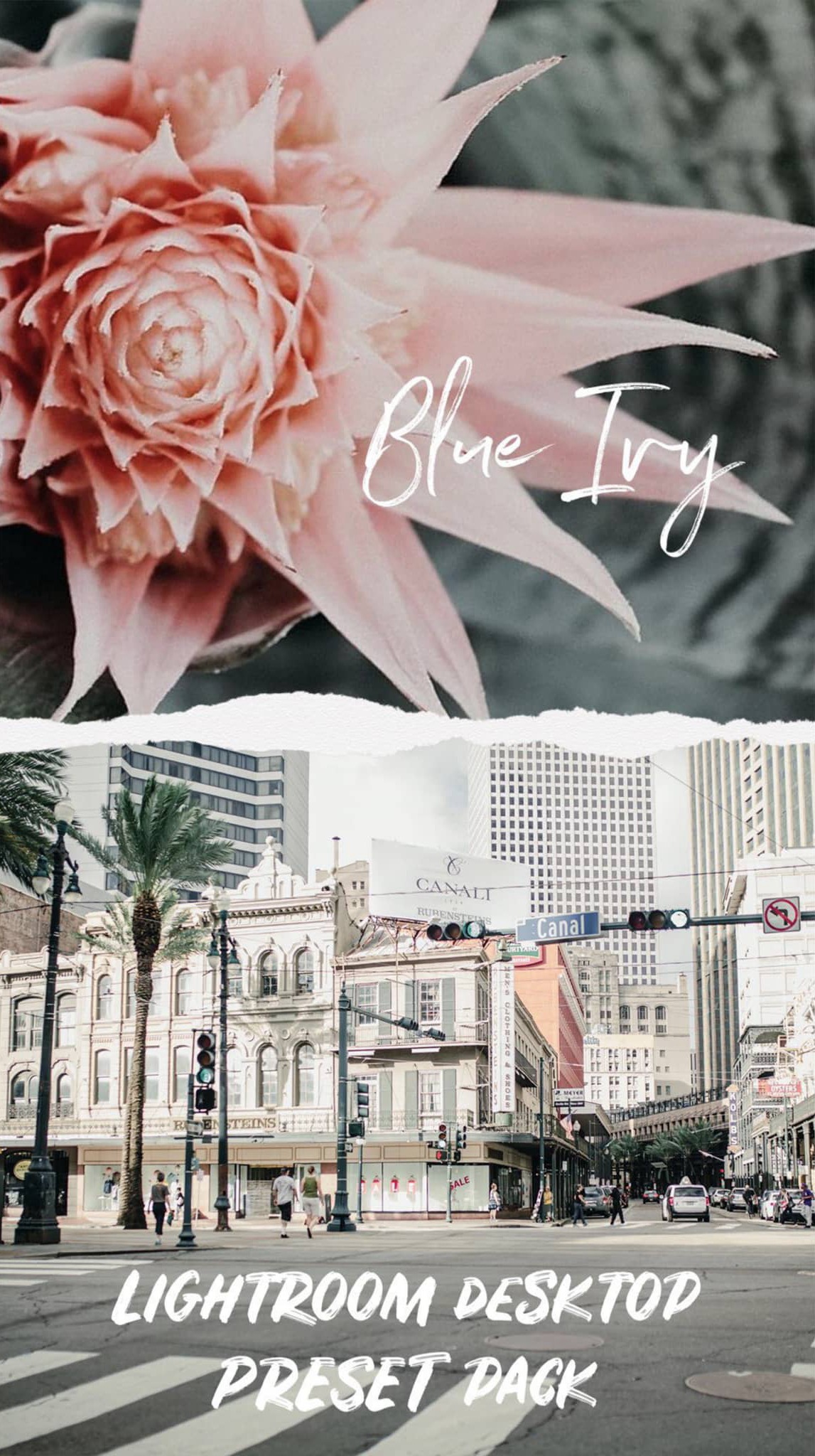 Tristan Duplichain – LIGHTROOM DESKTOP Blue Ivy Preset Pack (6 Presets) 插件预设 第1张