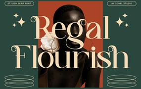 时尚优雅品牌包装婚礼请柬设计衬线英文字体安装包 Regal Flourish – Modern Unique Serif Font