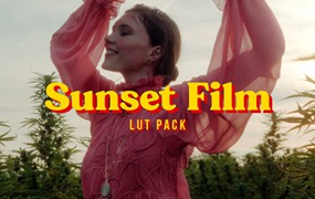 VG Studios Sunset Film LUT 14个高级现代与复古电影胶片风格化创意LUT