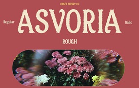 复古优雅品牌海报包装徽标设计衬线英文字体安装包 Asvoria Rough