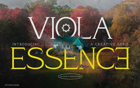 现代优雅品牌杂志徽标设计衬线英文字体安装包 Viola Essence Creative Serif Font