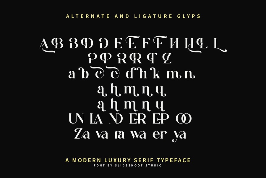 现代优雅品牌邀请函电影标题设计衬线英文字体安装包 Zalerin Modern Serif Typeface , 第12张