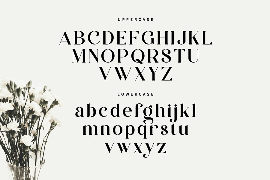 现代优雅品牌邀请函电影标题设计衬线英文字体安装包 Zalerin Modern Serif Typeface , 第11张