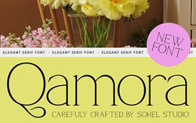 现代优雅品牌包装婚礼徽标设计衬线英文字体安装包 Qamora – Elegant Serif Font