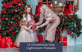 12组时尚圣诞节主题博主电影摄影照片调色Lightroom预设 12 Christmas Day Lightroom Presets