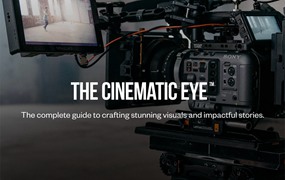 AOD - Art of Documentary - The Cinematic Eye 电影纪录片制作艺术电影之眼理论装备拍摄基础前期制作灯光摄影高级色彩视频教程